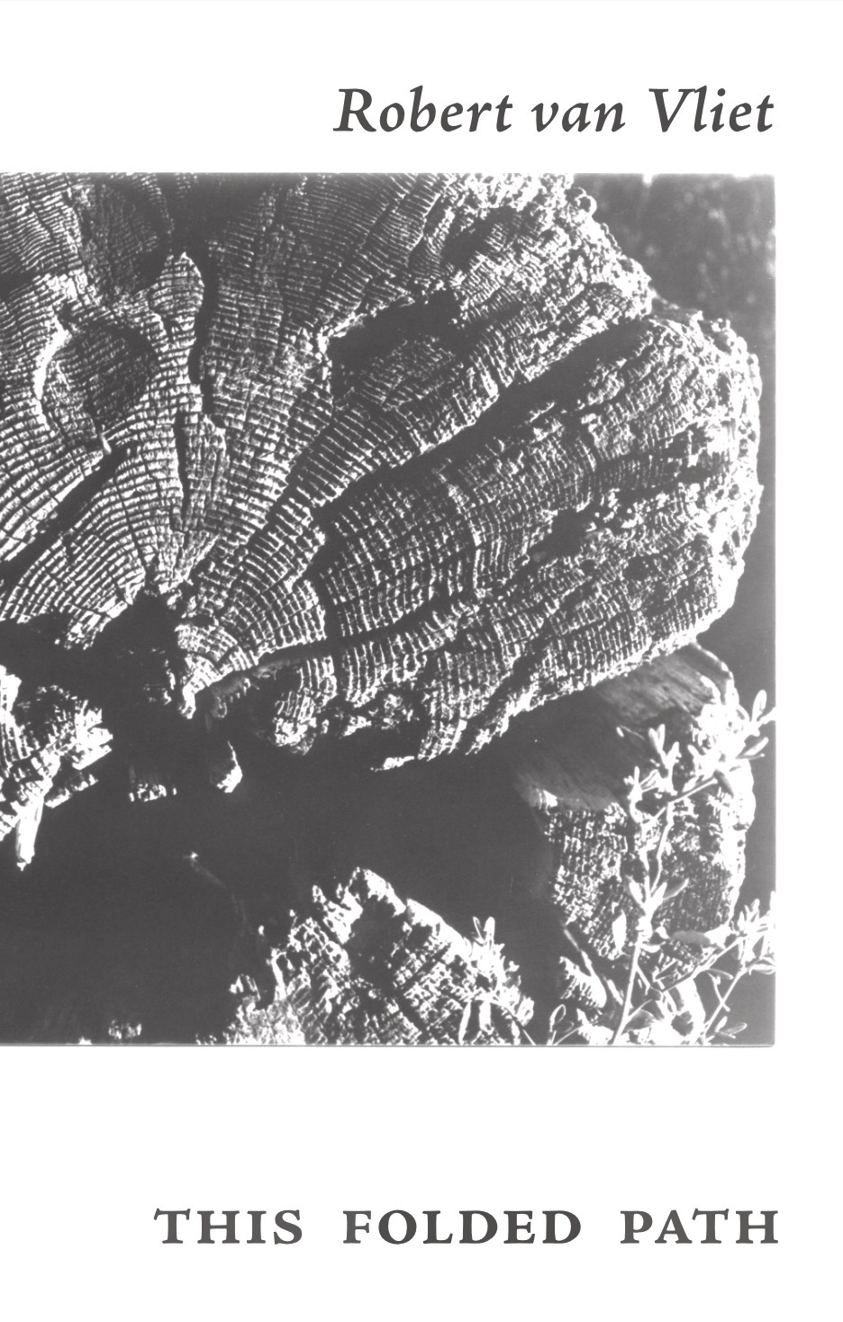 a black and white photo of a fallen log, showing its rings; with my name above the image and the title below